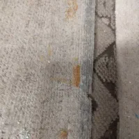 موکت کارکرده 40متر مربع بدون سوختگی|موکت|قم, تولید دارو و یخچال|دیوار