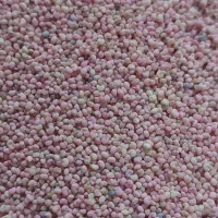 بذر اصلاح شده بهاره هندی بشرط