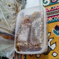 عسل وحشی کردستان