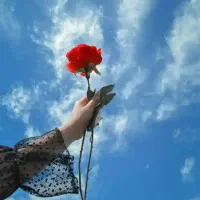 جذب نیروی مشاور تحصیلی