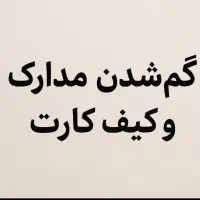 گمشده محدوده بلوار دشتی
