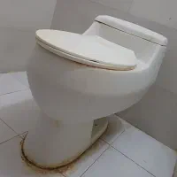تولت فرنگی در حد