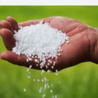 فروش کود سفید