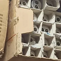 لامپ  مخصوص زردی بچه