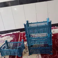 سبد جای میوه|ظروف نگهدارنده، پلاستیکی، یک‌بارمصرف|خرم‌آباد, |دیوار