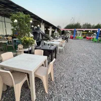 صندلی‌ومیز|میز و صندلی غذاخوری|فومن, |دیوار