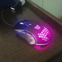 ماوس زیبای اونیکوما