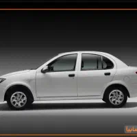 ساینا sصفر خشک