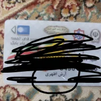 گمشده