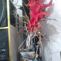 گمشده کوله برزنتی زیتونی