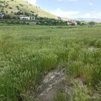 زمین زراعی