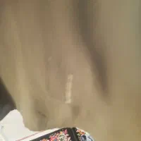 شومیززنانه|لباس|زنجان, |دیوار