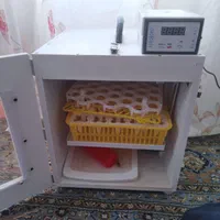 دستگاه جوجه کشی تمام اتوماتیک خانگی