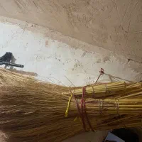 گسک|لوازم نظافت|مریوان, |دیوار