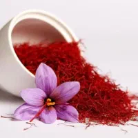 استخدام شریک یا همکاری