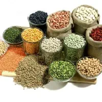 پخش انواع برنج خارجی و ایرانی و حبوبات