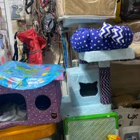 پت شاپ بمدیریت دکتر دامپزشک|لوازم جانبی حیوانات|رشت, حمیدیان|دیوار