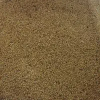 بذر یونجه