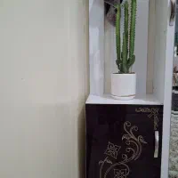 جاکفشی ایستاده