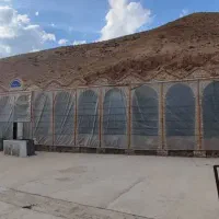 اجاره-دامداری