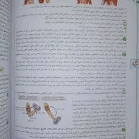کتاب زیست یازدهم خیلی سبز و زمین مهر و ماه|کتاب و مجله آموزشی|هشتگرد, هشتگرد قدیم|دیوار