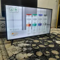 تلویزون 43|تلویزیون و پروژکتور|بندرعباس, |دیوار