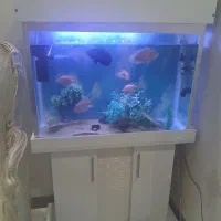آکواریوم با میز و کمد