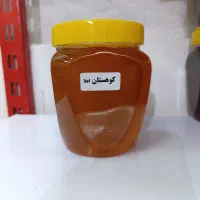 عسل طبیعی اعلا کوهستان|خوردنی و آشامیدنی|قم, صدوق|دیوار