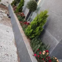 باغبان،باغبانی حرفه ای|خدمات باغبانی و درختکاری|قم, زنبیل آباد|دیوار