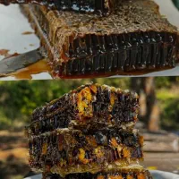 عسل گرده دار وحشی. درمانی قلعه بابک سحراما