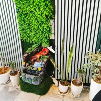 واگذاری تمامی وسایل ابمیوه بستنی|کافی‌شاپ و رستوران|بردسکن, |دیوار