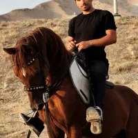 کرایه اسب و آموزش اسب سواری و سوارکاری|اسب و تجهیزات اسبسواری|تبریز, |دیوار