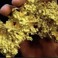 مقداری طلا گم کرده ام