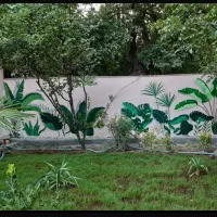 دیوارنویسی دیوار نویسی فوری نقاشی مدارس ارزان