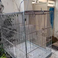 قفس سهره غلامی|لوازم جانبی حیوانات|رشت, توشیبا|دیوار