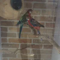 سرمایه گذار