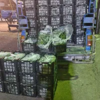 گارگر  ساده برای تخلیه‌ بار میدان بارفروش