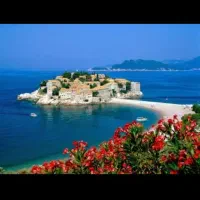 مهاجرت تضمینی واماده بحرکت ظرفه فقط یکروز|خدمات حمل و نقل|رشت, گلباغ نماز|دیوار