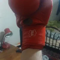 دستکش بوکس گرین هیل تمام چرم tiger سایز ۱۰|تجهیزات ورزشی|قزوین, |دیوار