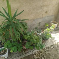 ب یک خانم جهت سر پرستی خوابگاه نیازمندیم
