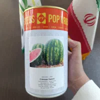 هندوانه کریمسون سوئیت پوپ