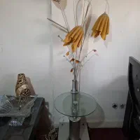 آباژور کنار سالنی