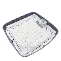 دستگاه جوجه کشی آژاکس ترکیه|لوازم جانبی حیوانات|مشهد, توس (بلوار توس)|دیوار