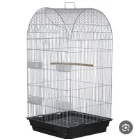 عروس هلندی مولد|پرنده|مشکین‌دشت, |دیوار