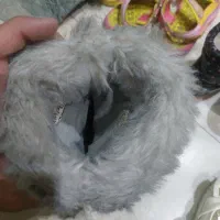 چکمه دخترانه سایز۲۷ تیمبرلند اصل