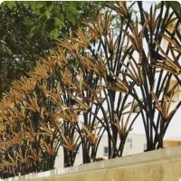 کارگر ساده یا جوشکار