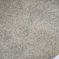 نیم دانه|خوردنی و آشامیدنی|کوهدشت, |دیوار