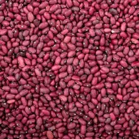 فروش لوبیا قرمز
