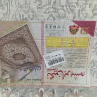 زیبا و مرتب