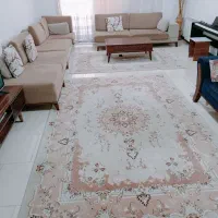 فرش نگین مشهد|فرش|گرگان, |دیوار